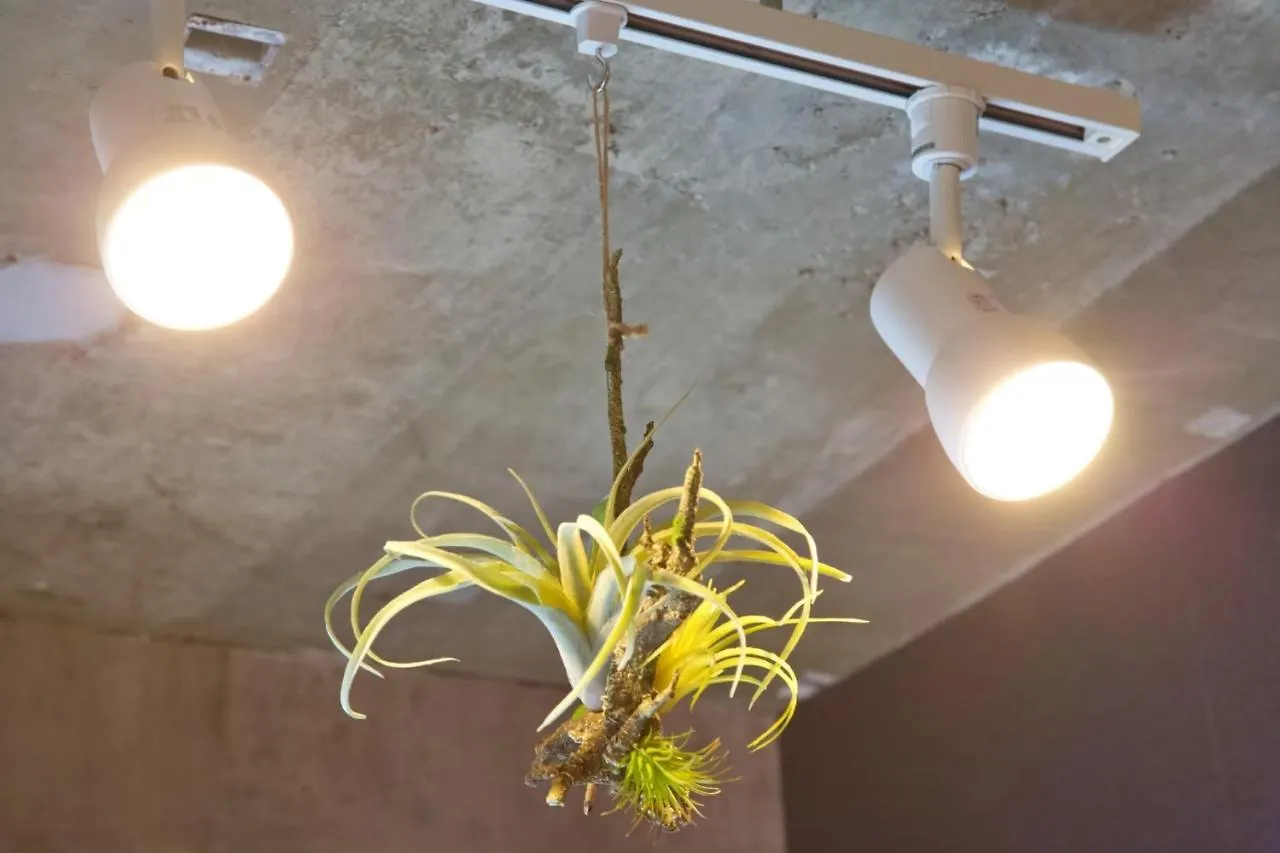 Appartamento Edifice Shibuya301 Tokyo Giappone